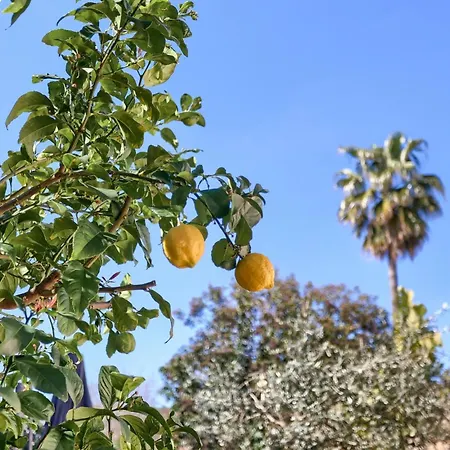 Llum בית נופש פוינסה
