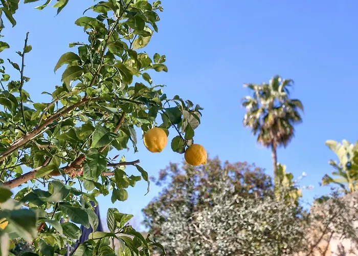 Llum Semesterbostad Pollença